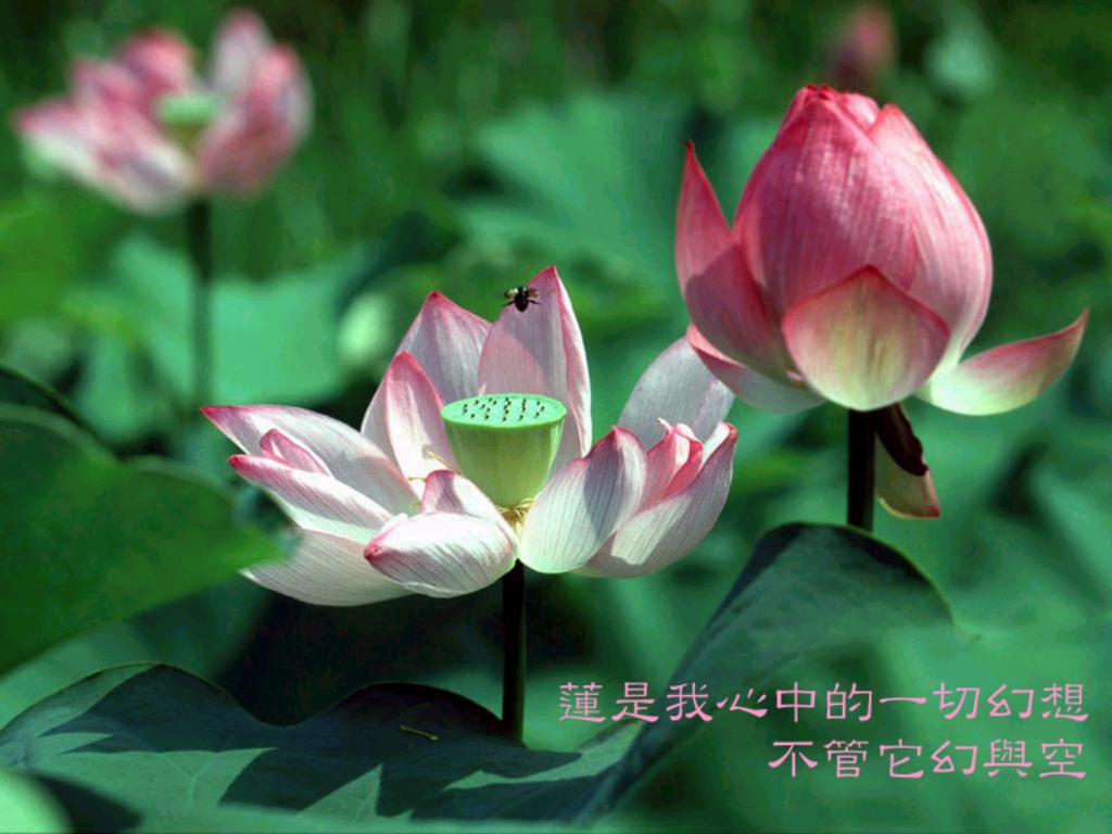 ��&nbsp;1024*768