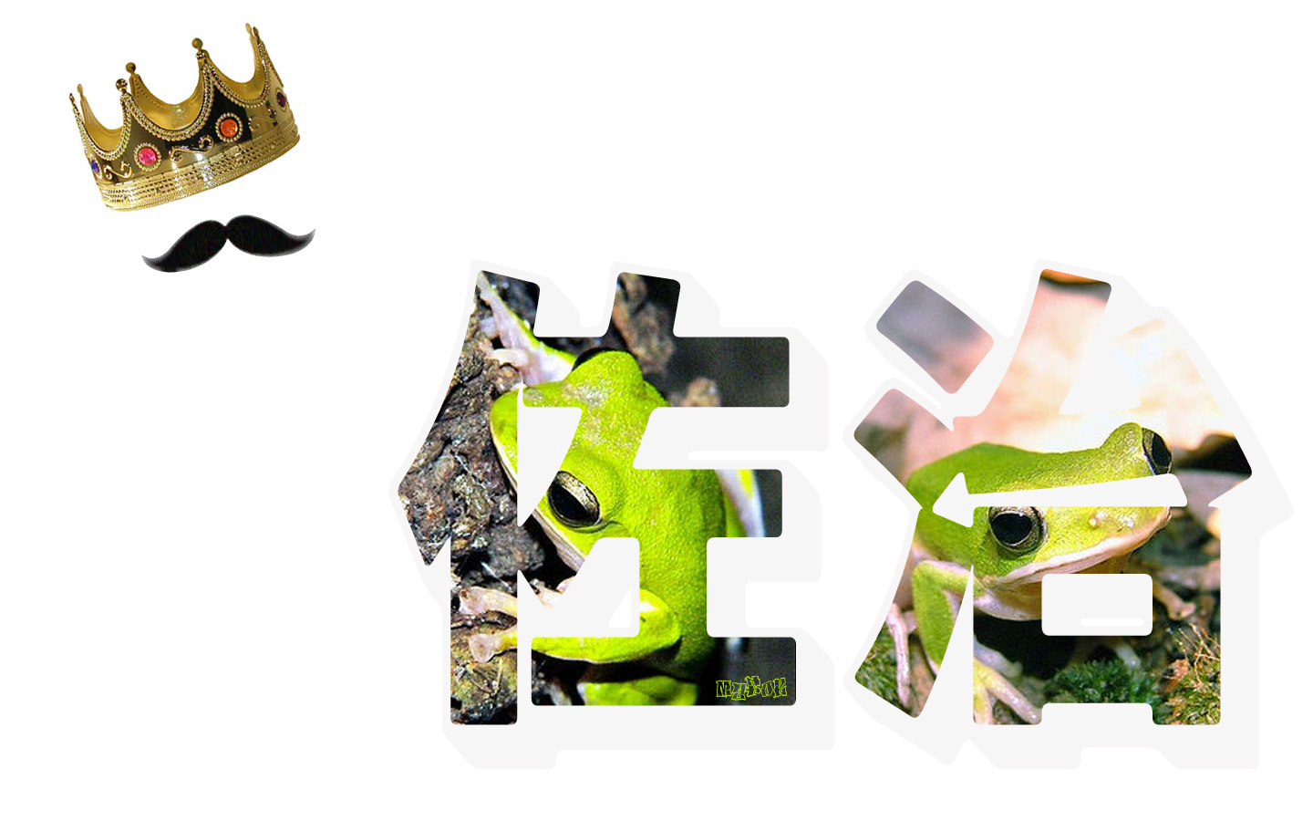 prince george 1440*900